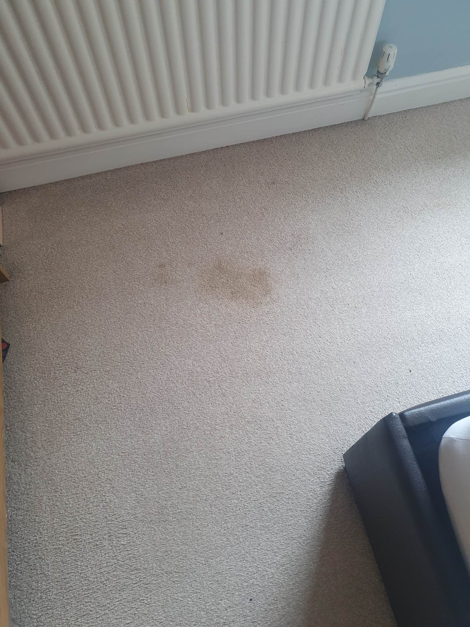 Carpet, upholstery or driveway cleaning result