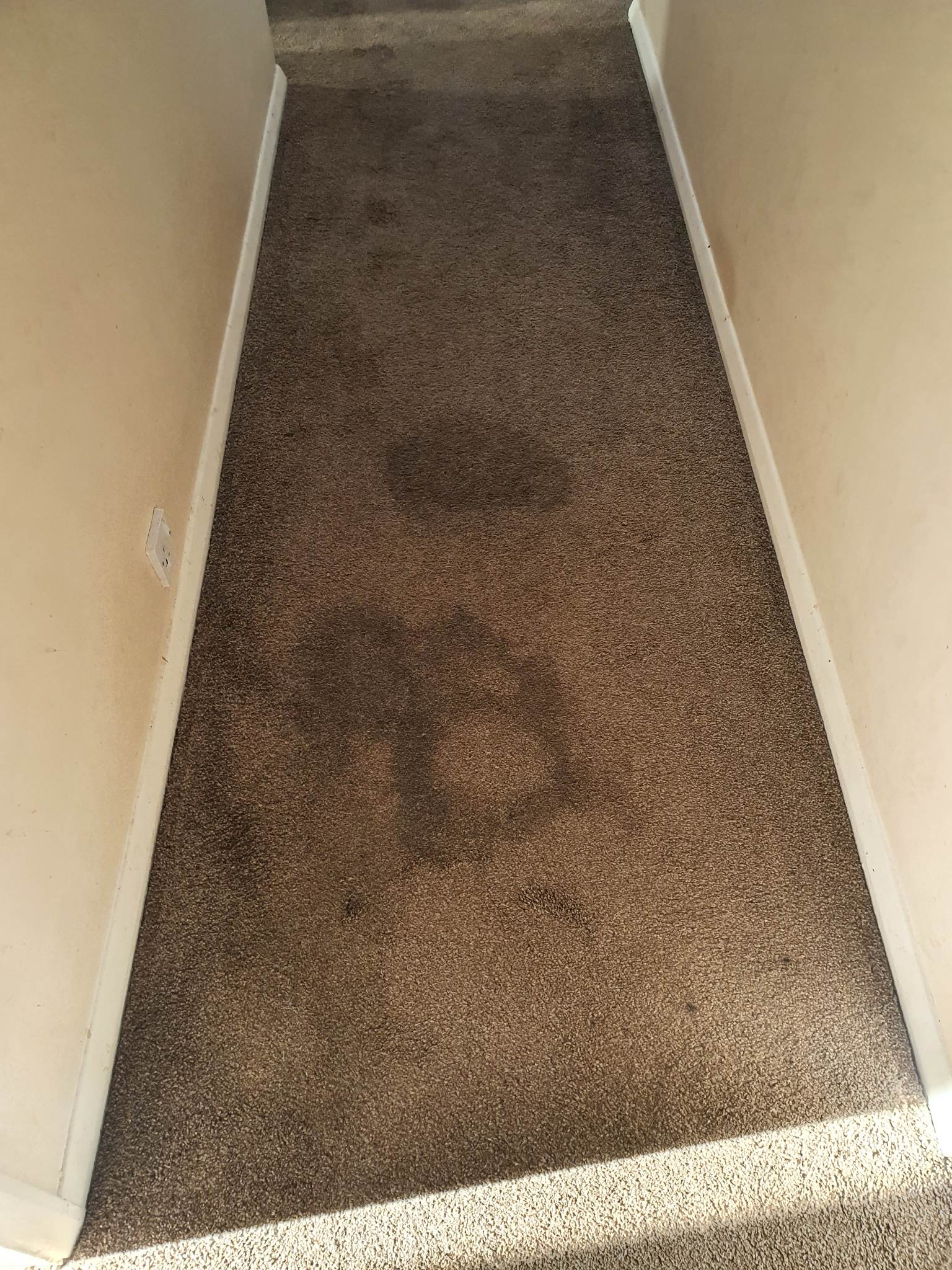 Heavily soiled carpet before professional cleaning